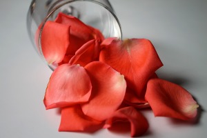Virag_rose-petals-977090_1920